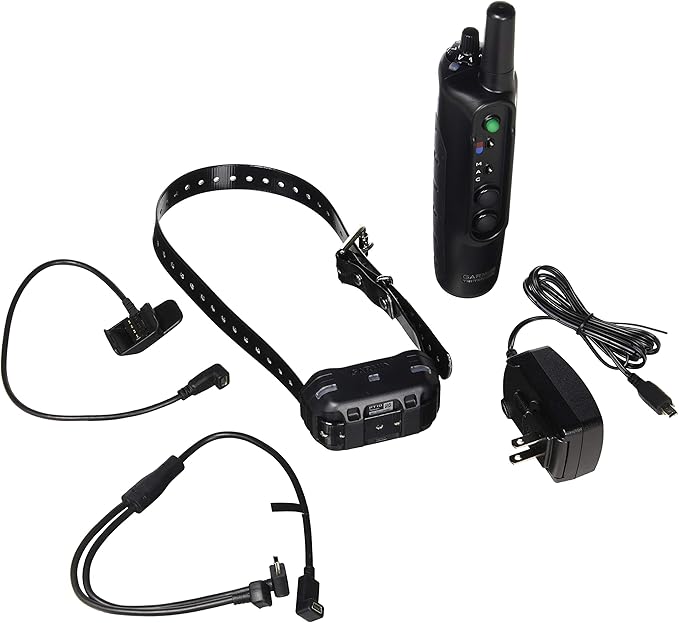 Garmin Pro 550 Plus