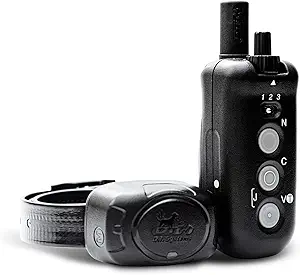 DT Systems DD700