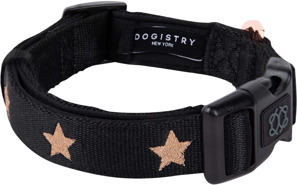 Best Premium GPS Dog Collar