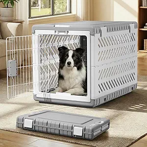 Diggs Revol Collapsible Dog Crate
