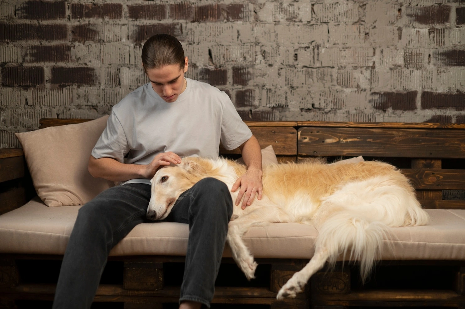 Separation Anxiety in Dogs