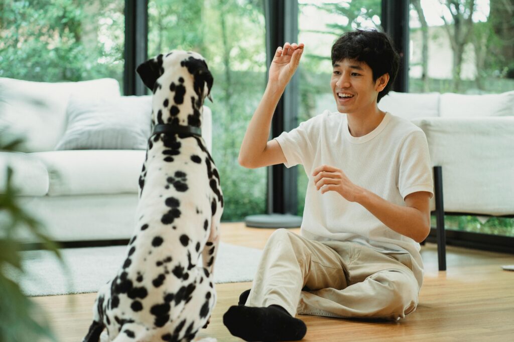 Signs Your Dog Trusts You