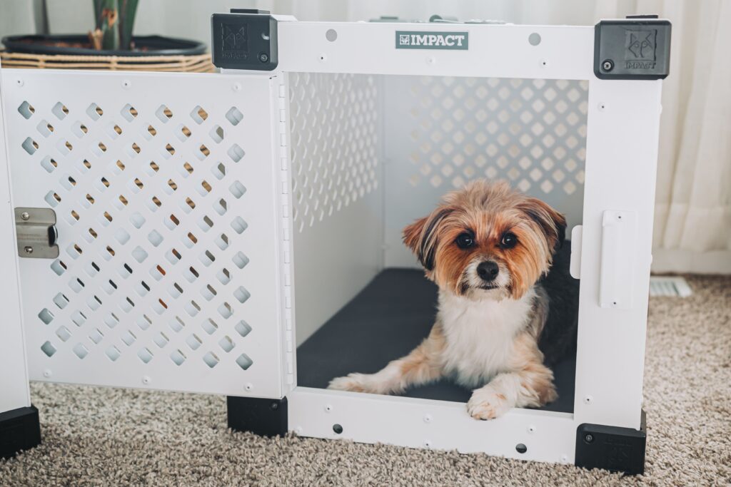 Puppy Crates for Training