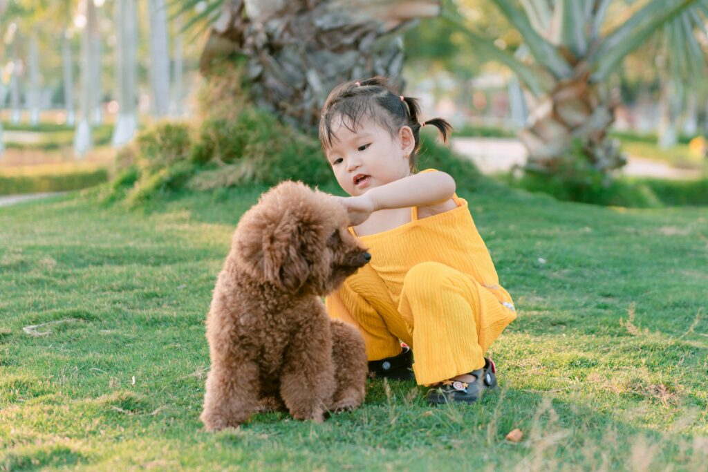 Dog Breeds for Families
