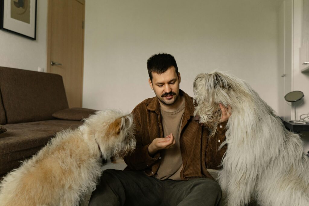 Common Dog Owner Mistakes