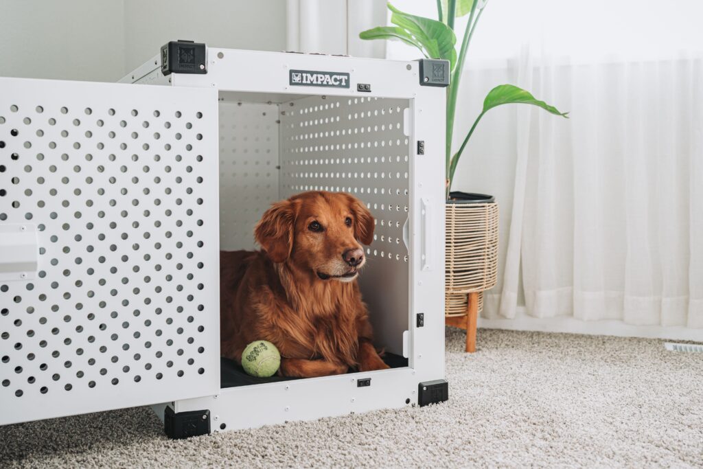 Best Odor Control Dog Crates for Indoor Use