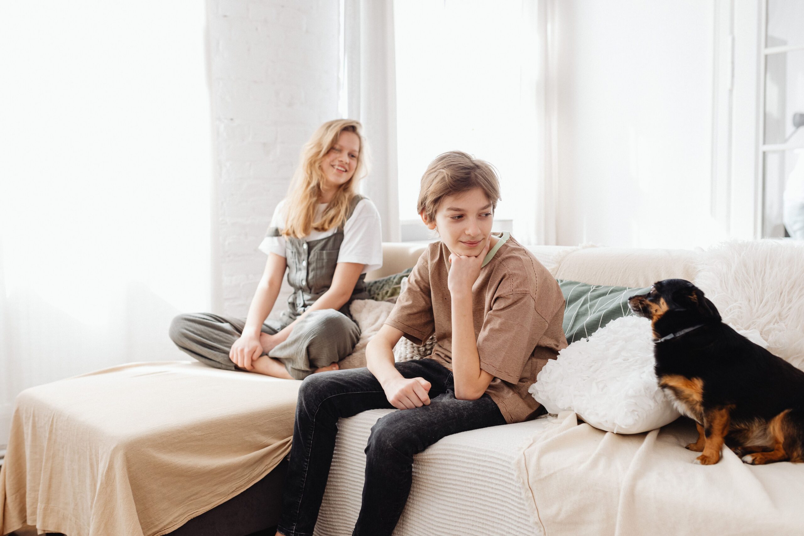 How to Introduce a New Dog to Your Household