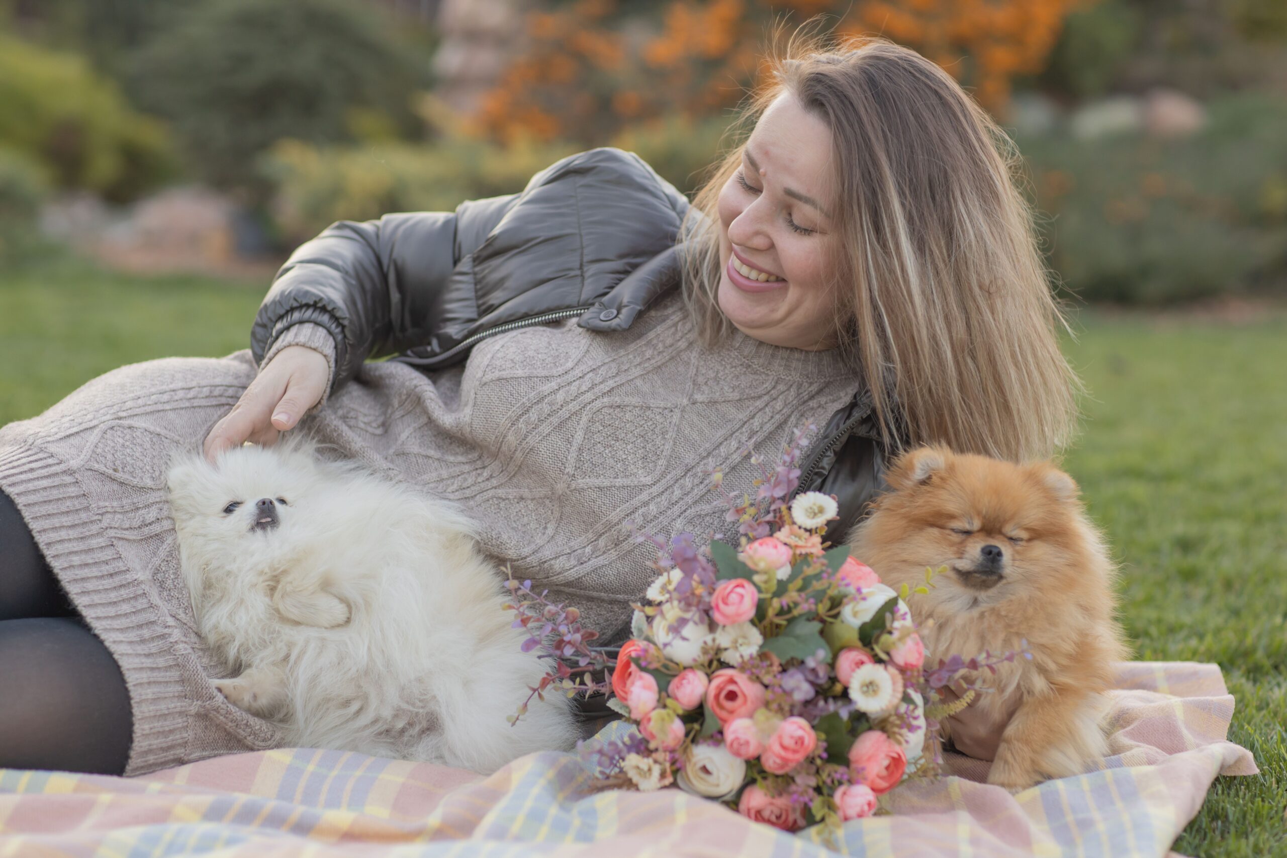 Dogs Choose Their Favorite Person