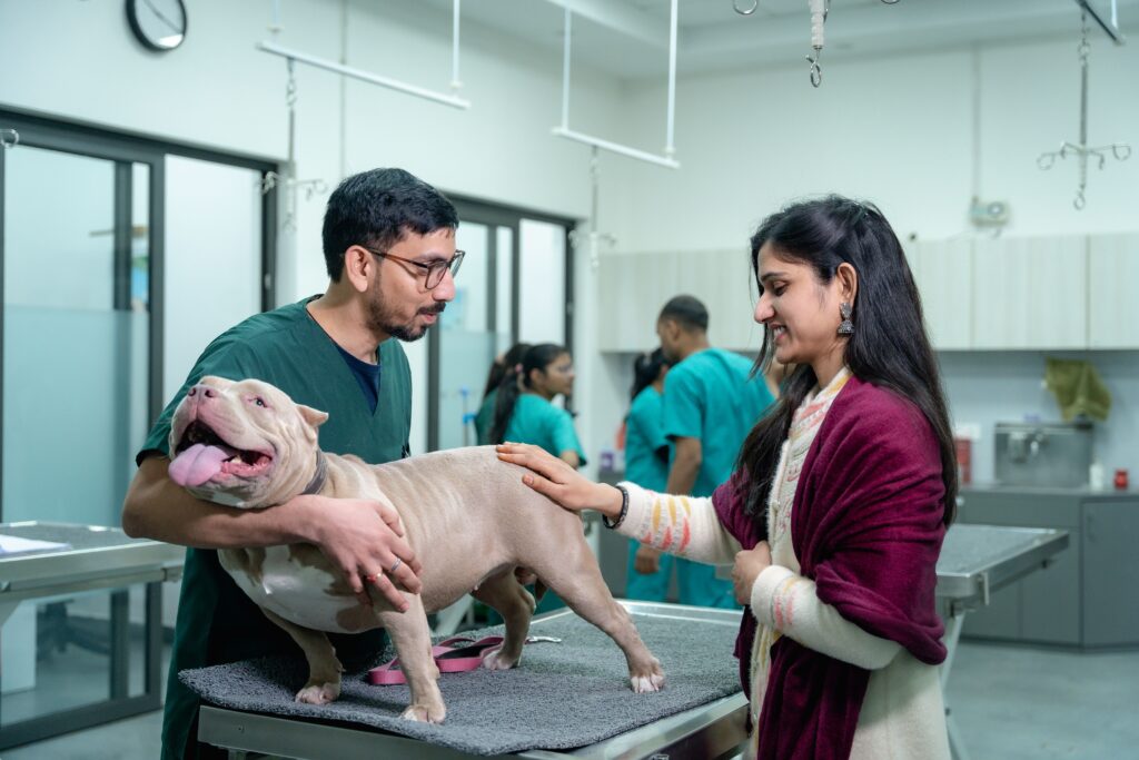 Reduce Stress During Vet Visits