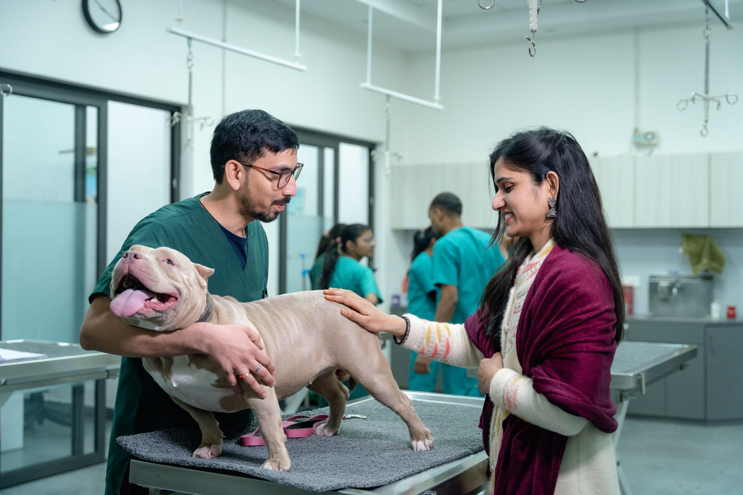 Reduce Stress During Vet Visits