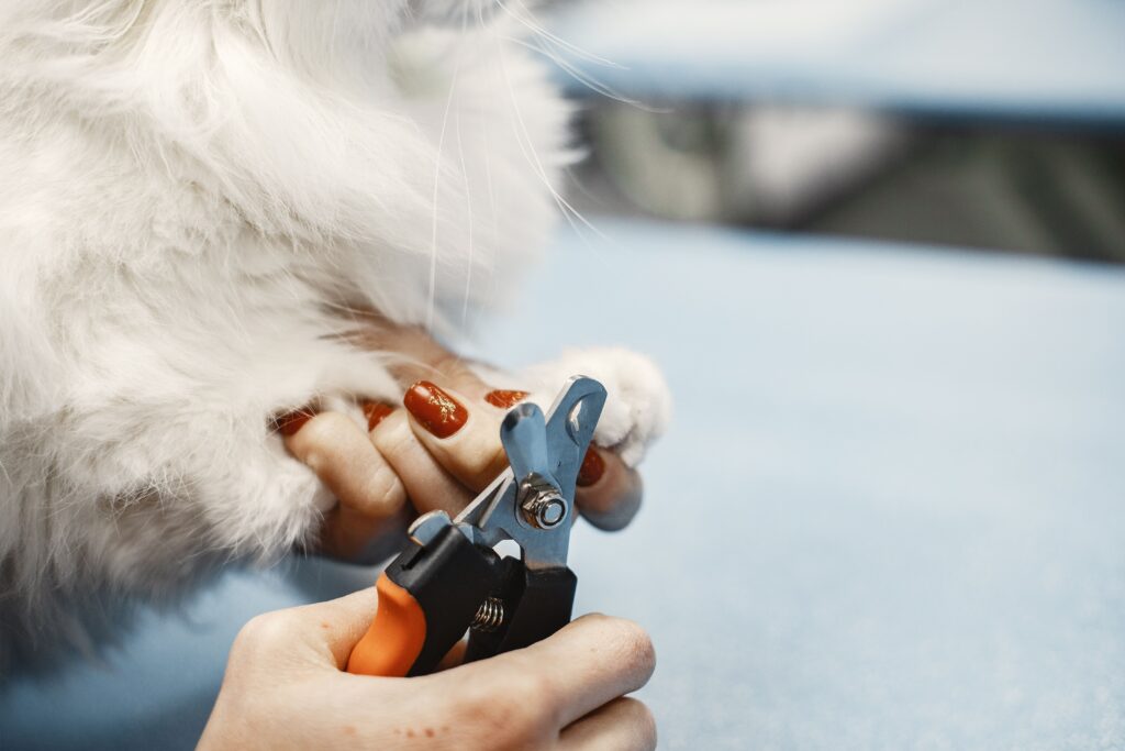 Best Dog Nail Grinders Review