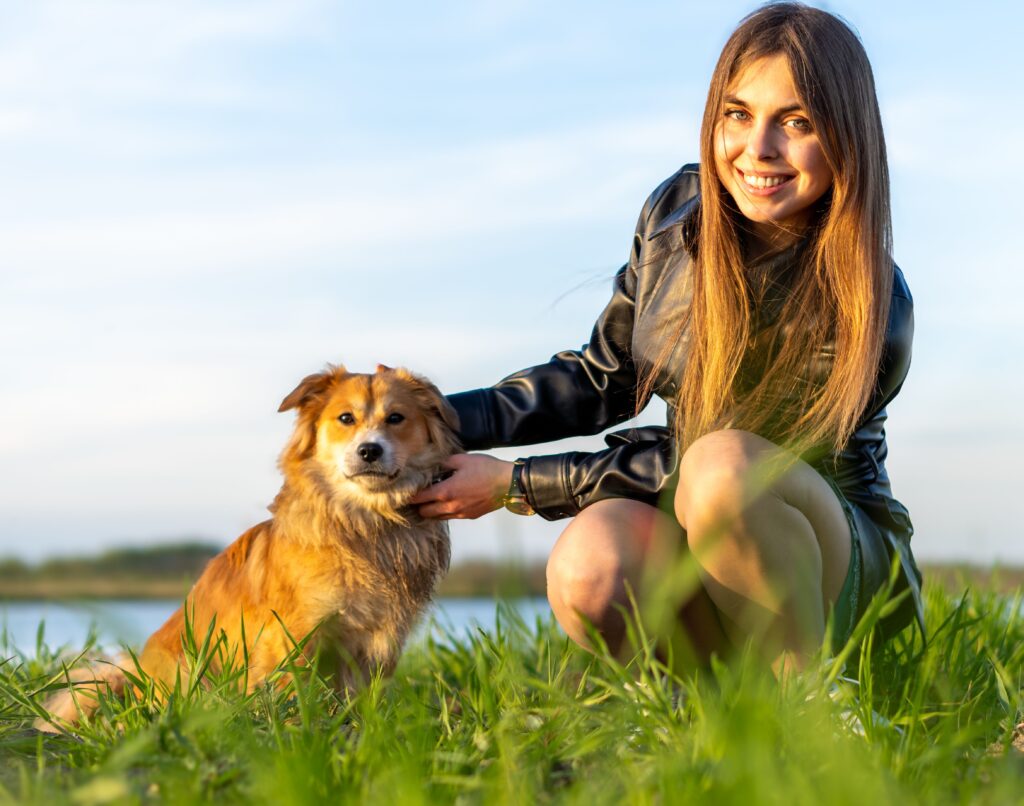Dog Waste Disposal Systems