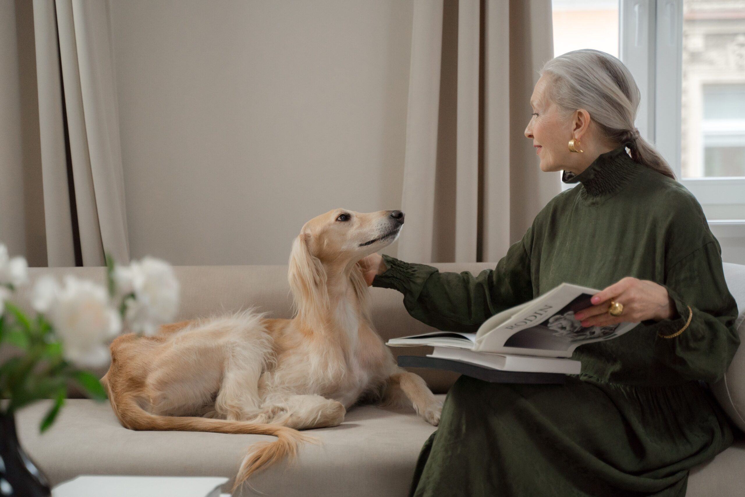 Senior Dog Care Tips