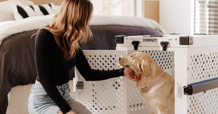 Puppy settled in a crate in the bedroom overnight