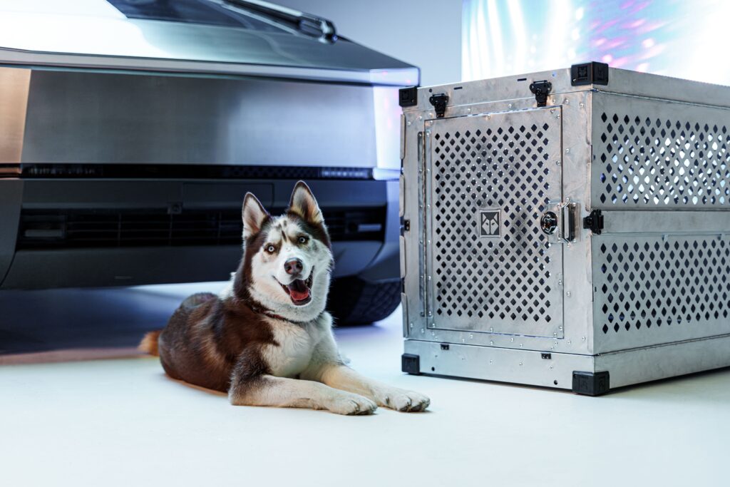 dog crate